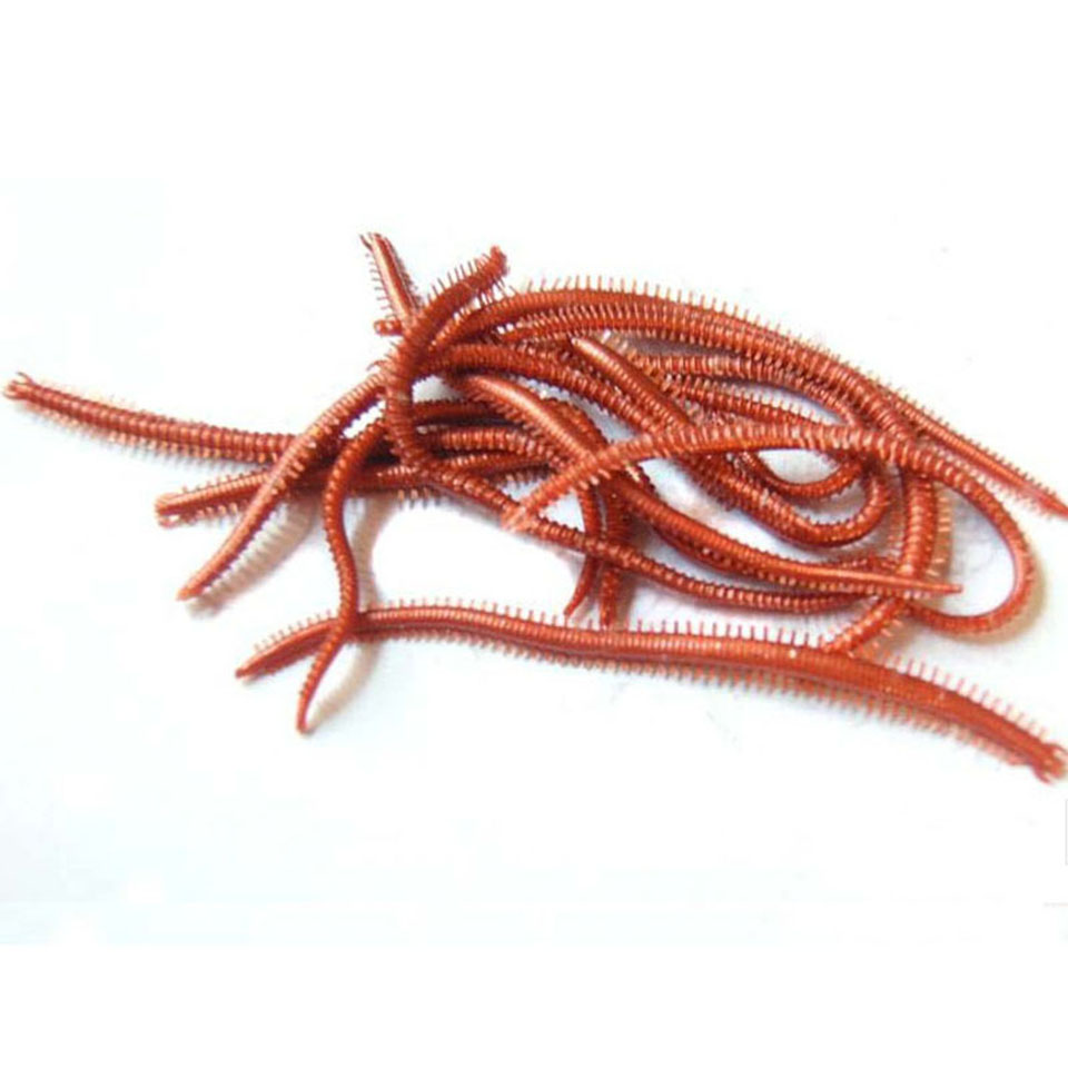 10 sztuk/partia sztuczne robak – Fishing Lure Soft Plastic recenzja i cena